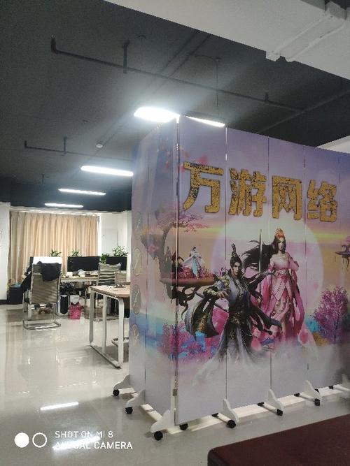 南宁万游网络科技 50万人民币 有限责任公司
